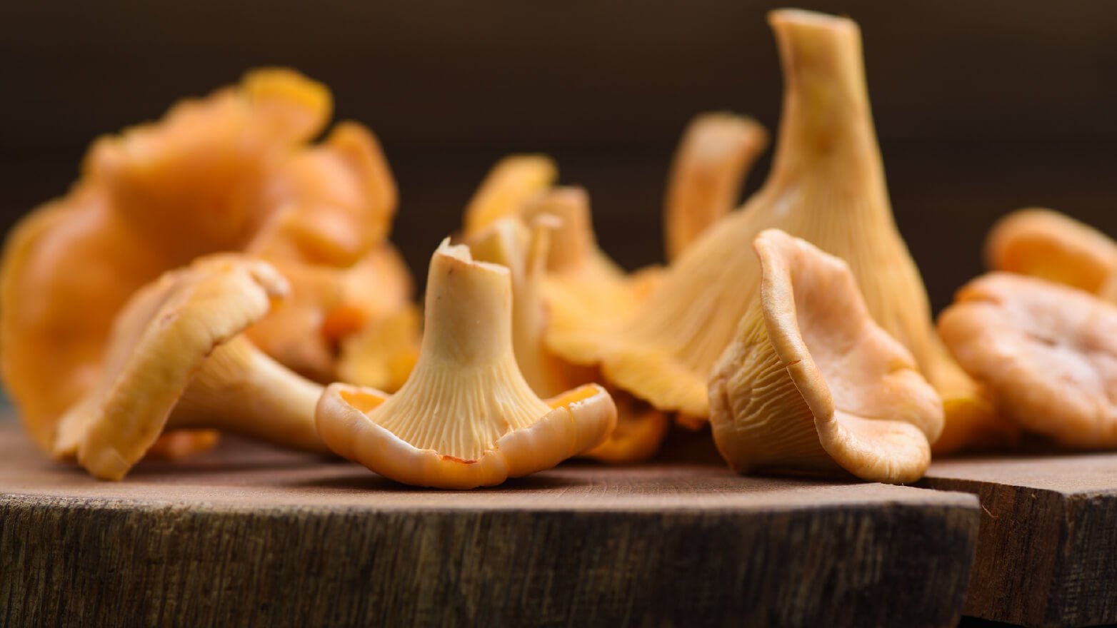 Chanterelle mushrooms