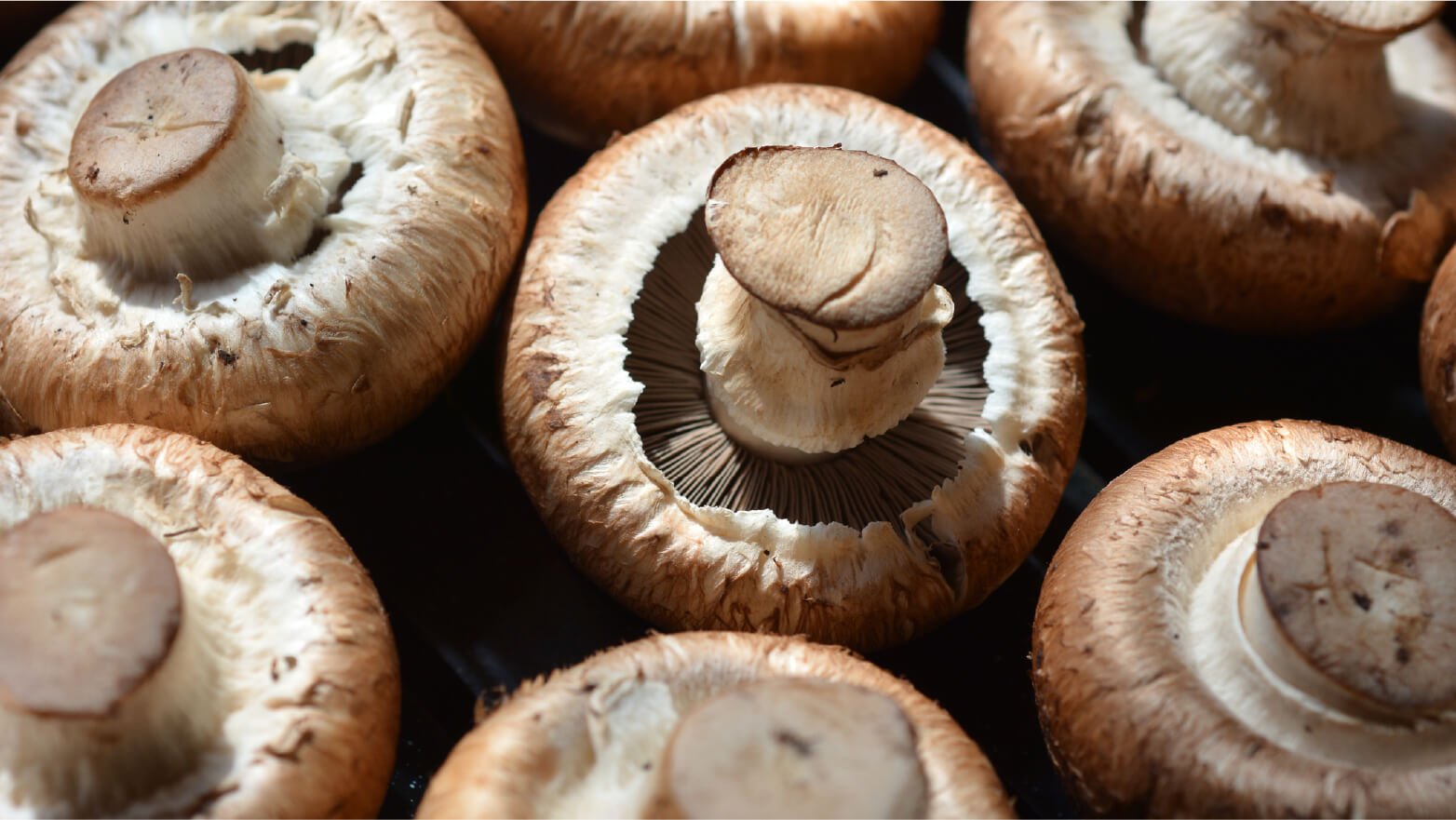 Chestnut mushrooms