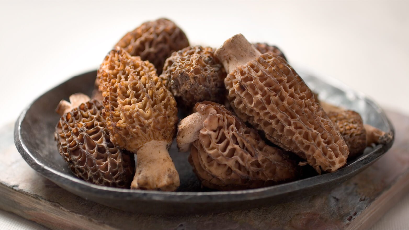 Morel mushrooms