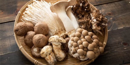 17 Types of Mushrooms: Uses, Taste & More Explained