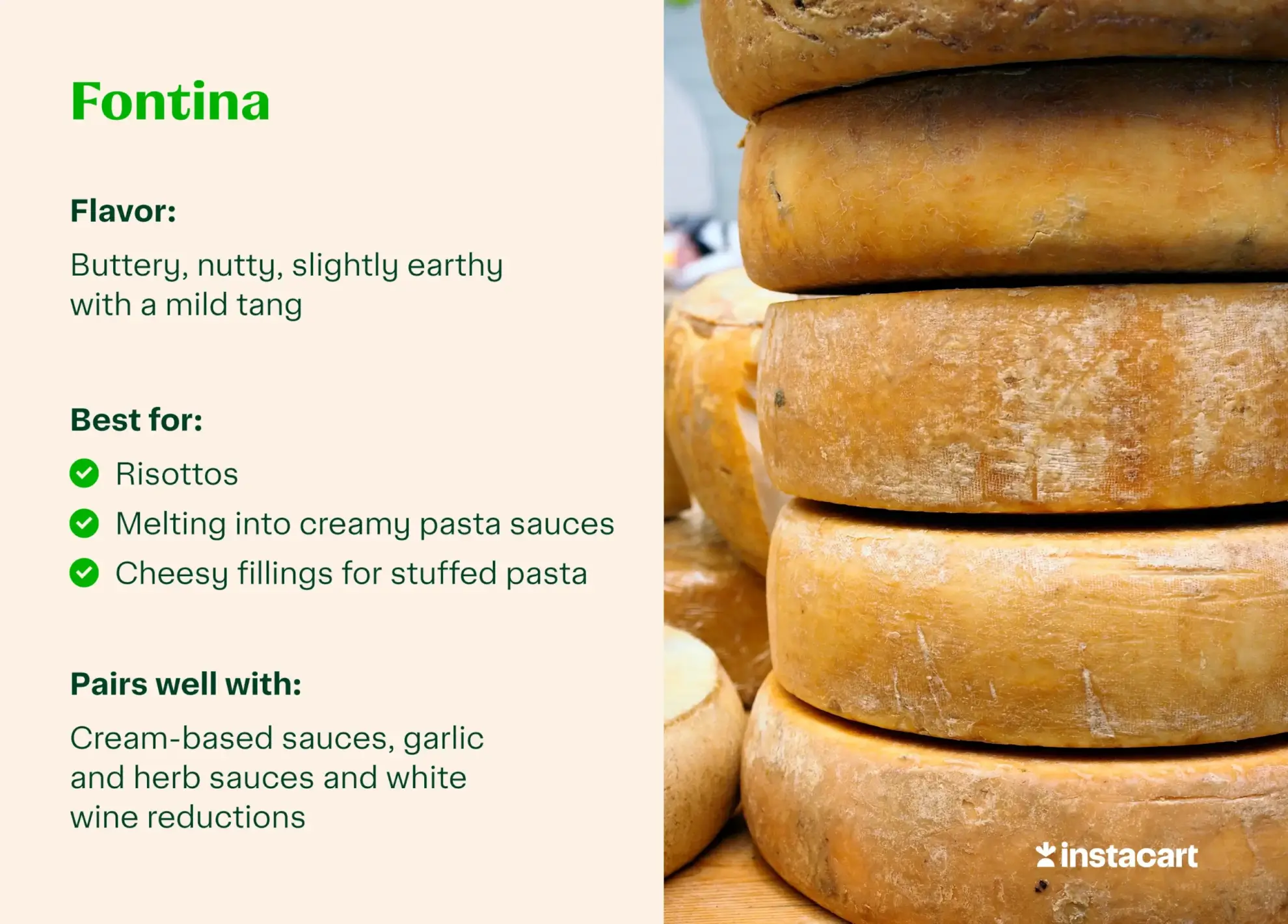 Fontina for pasta with flavor profile, best for and pairs well call outs.