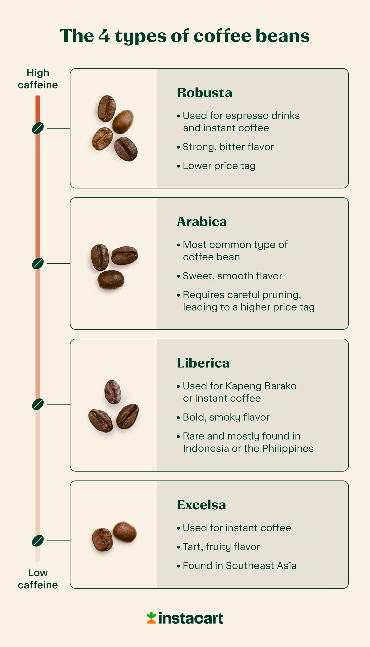 Illustration of the four types of coffee beans