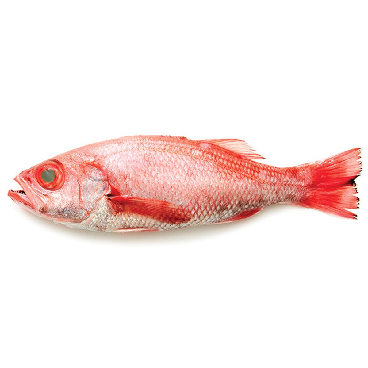 Wegmans Nodoguro Whole Fish (1 Each) Delivery Or Pickup Near Me - Instacart