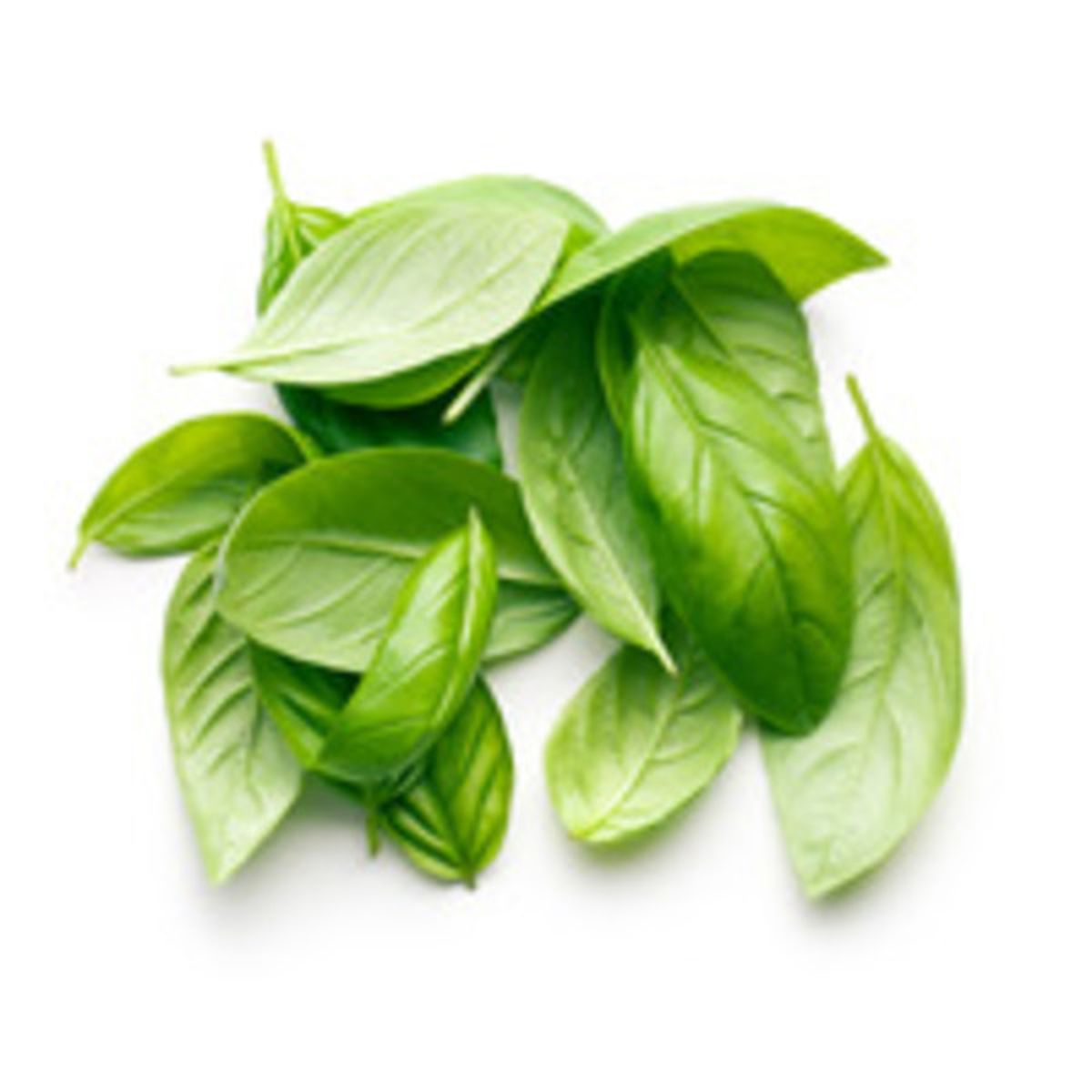 Fresh Basil 1 lb bunch Delivery or Pickup Near Me Instacart