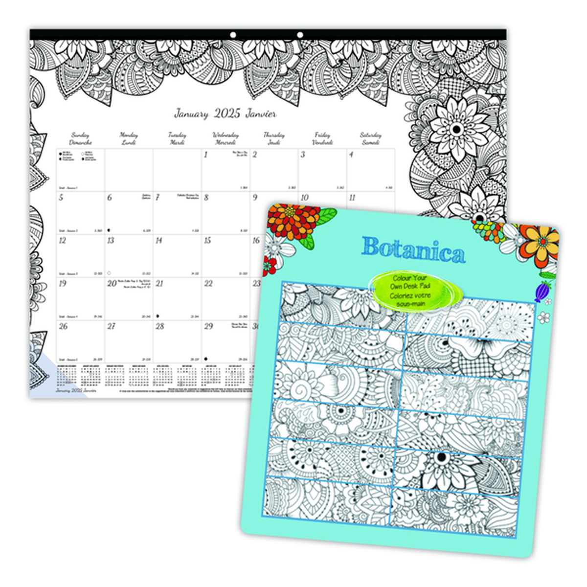 Blueline 2025 Doodle Plan Coloring Monthly Desk Pad Calendar, 22 x 17