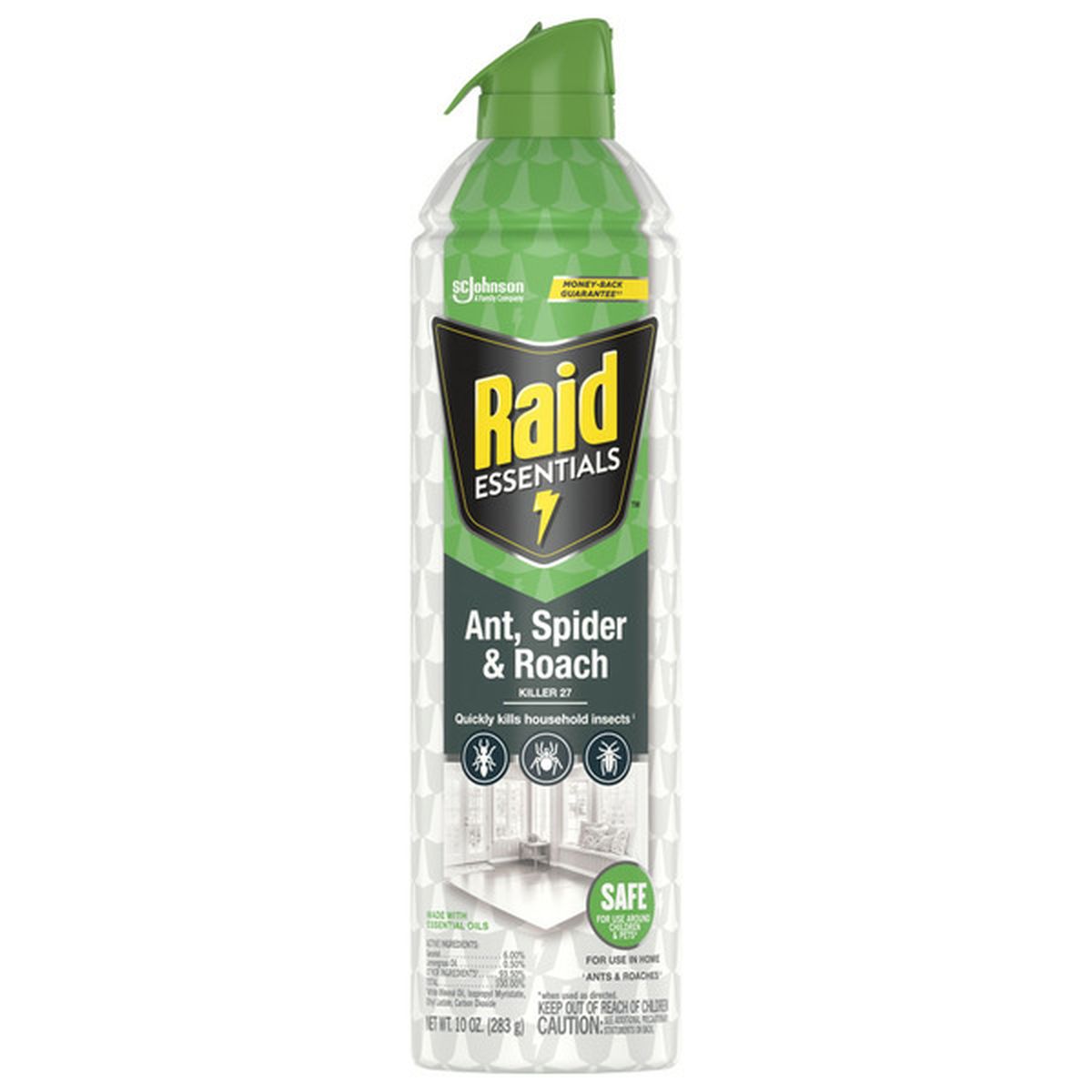 Raid Essentials Ant Spider And Roach Killer Insecticide Aerosol Spray