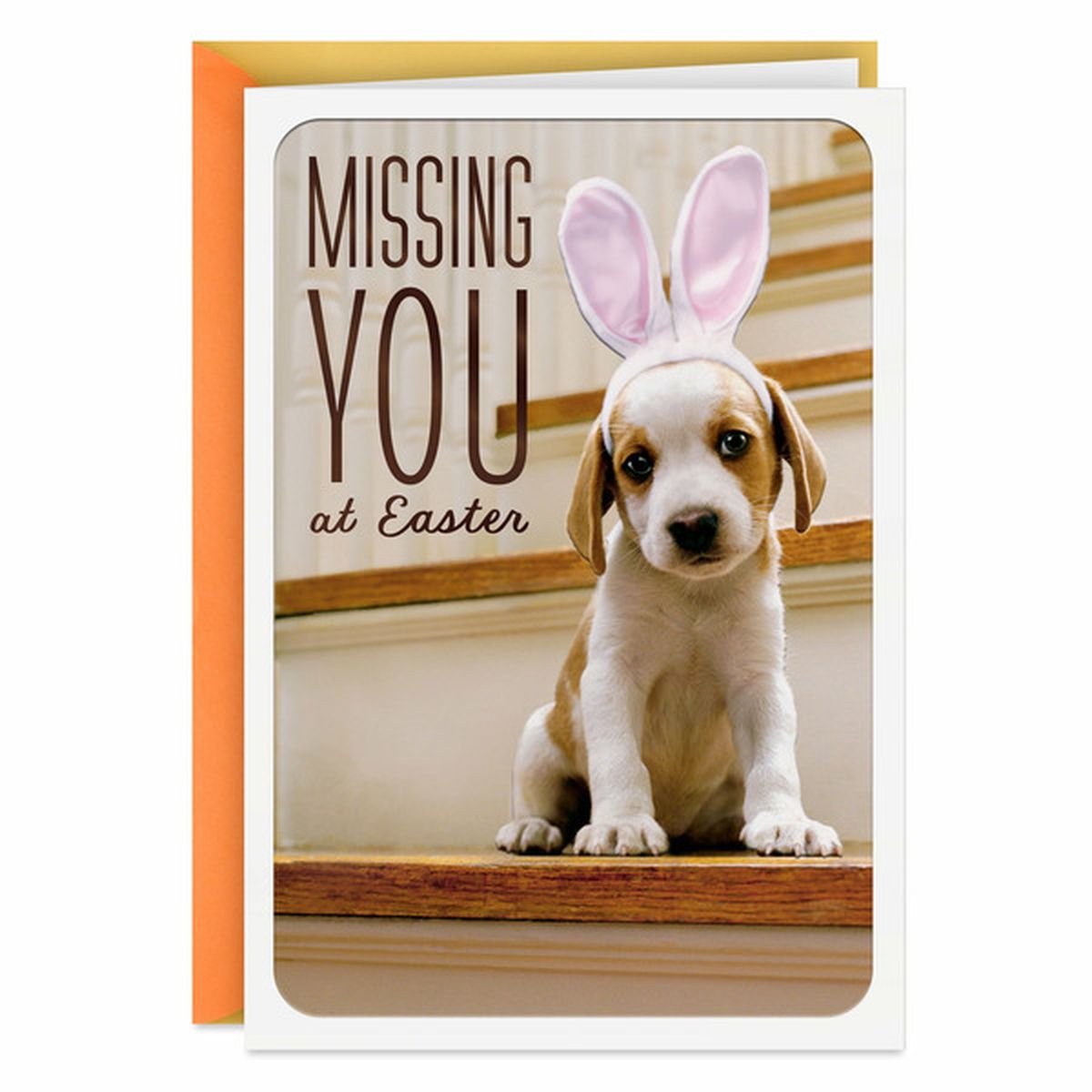 Hallmark Miss You Across the Miles Easter Greeting Card (1 each ...