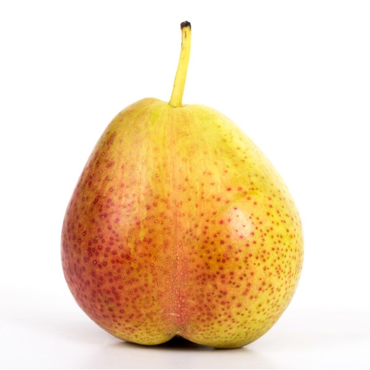 Forelle Pear 22 Lb Delivery Or Pickup Near Me Instacart 