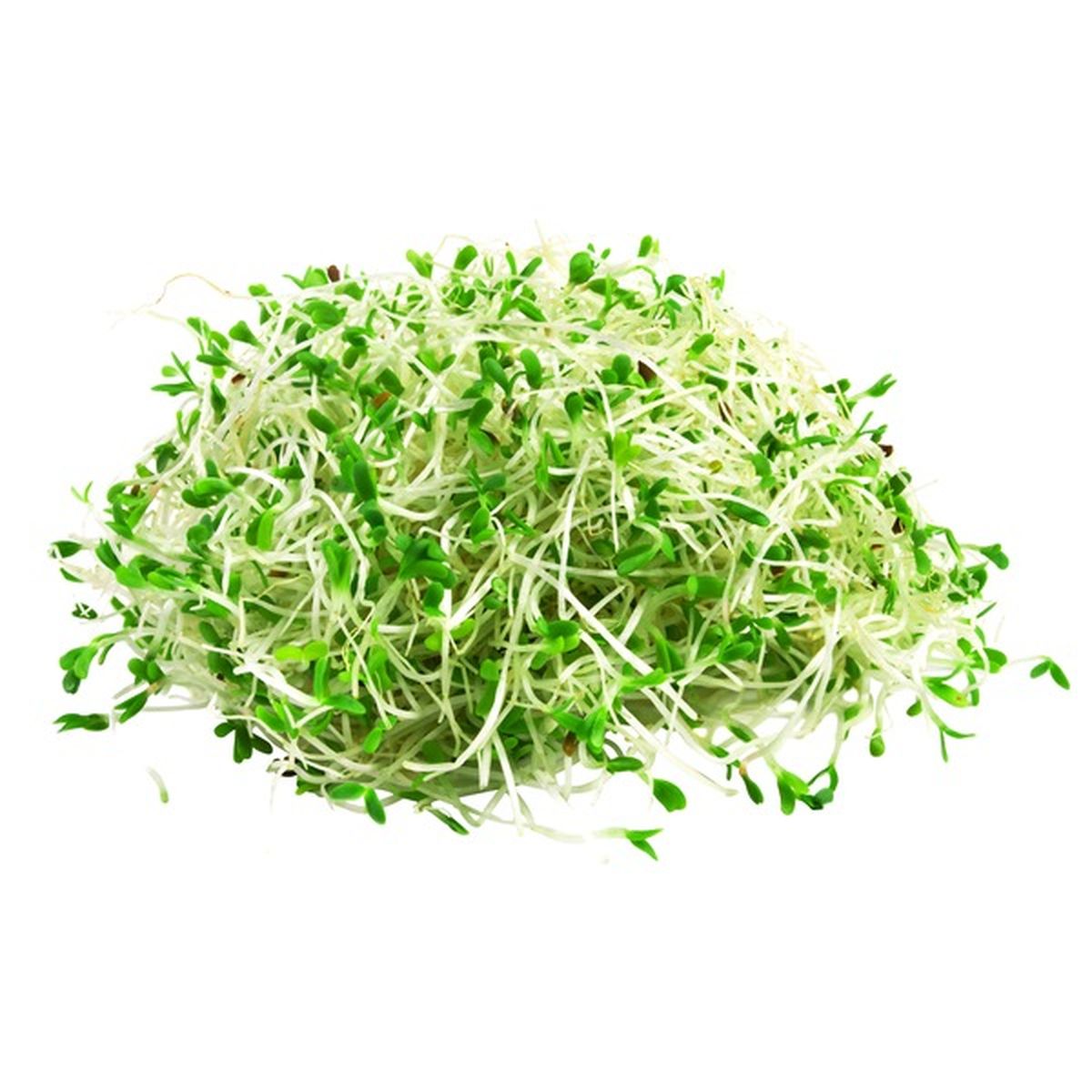 Alfalfa Sprouts Package (4 oz) Delivery or Pickup Near Me - Instacart