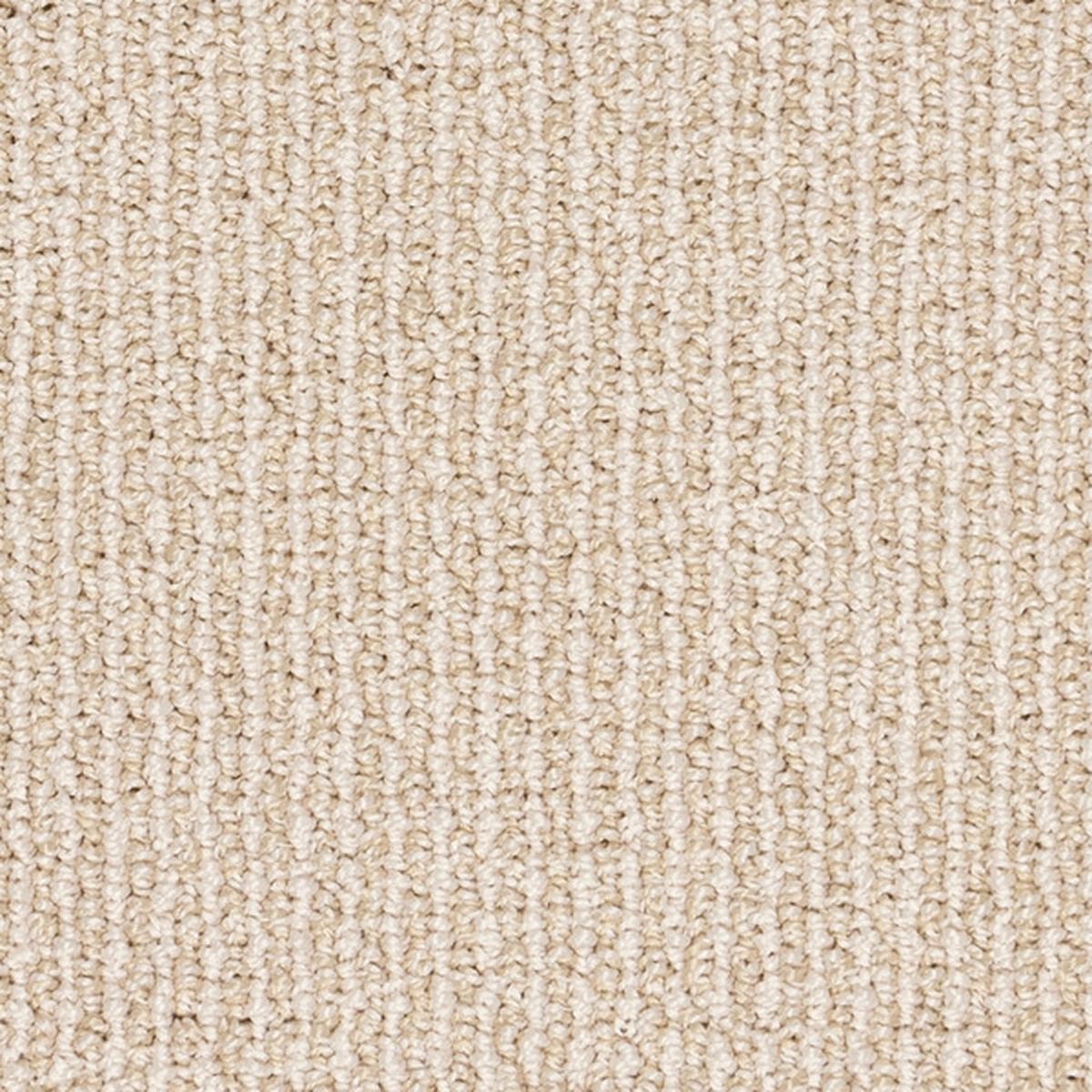 Stainmaster Union Station Multi-level Loop Indoor Carpet Sample ...