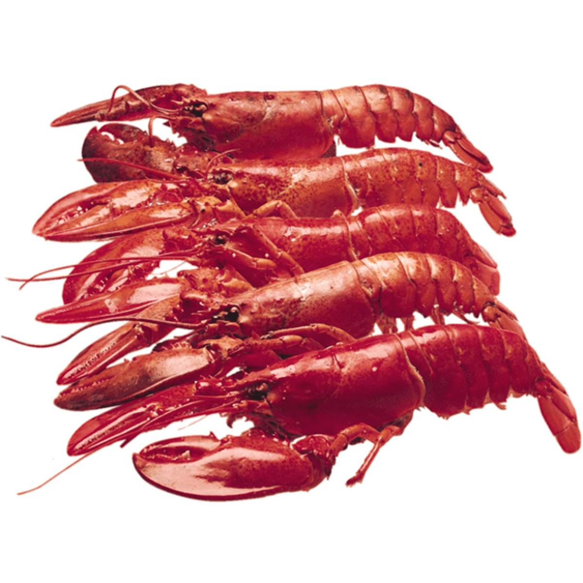 Previously Frozen Cooked Lobster (1 Each) Delivery Or Pickup Near Me 