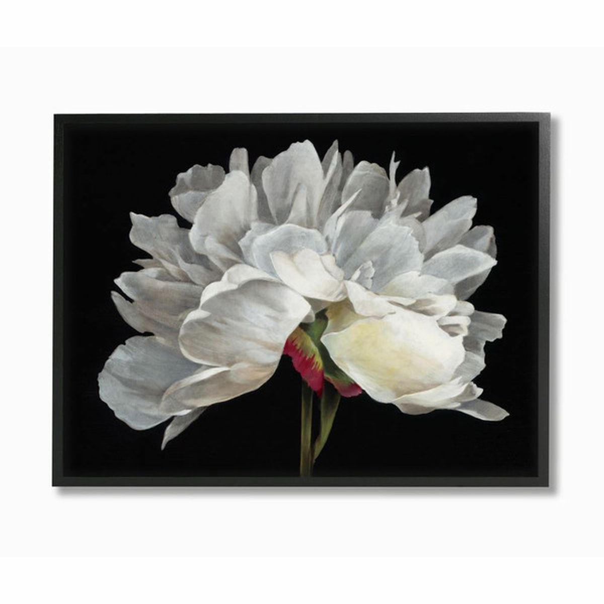 Stupell Industries Minimal White Flower Petal Detail Floral Design ...