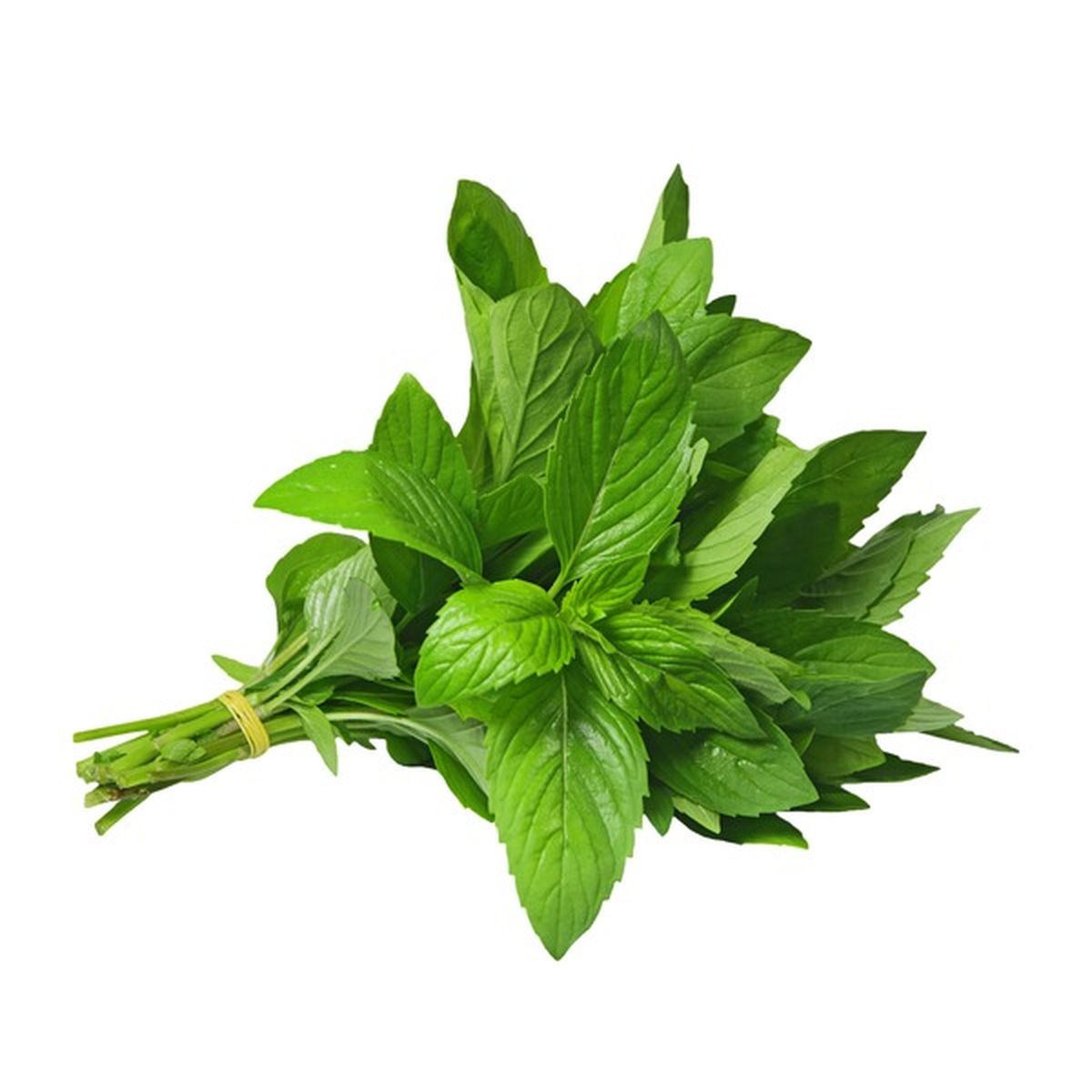 Mint Leaves / Pudeena 1 bunch