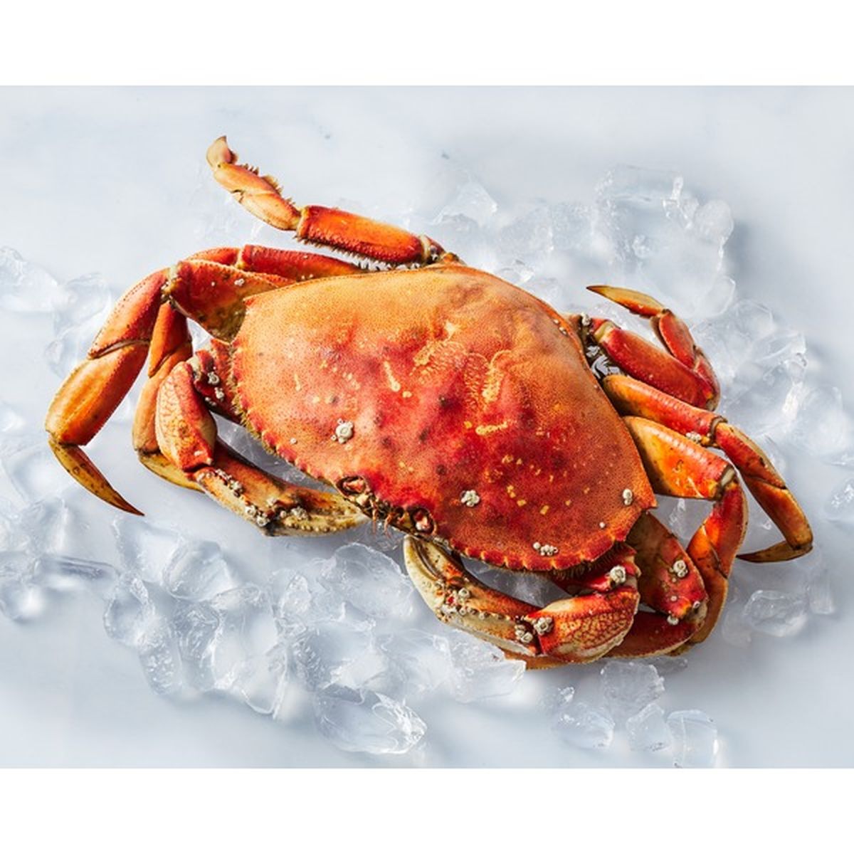 Whole Cooked Fresh Dungeness Crab (per lb) Delivery or Pickup Near Me -  Instacart