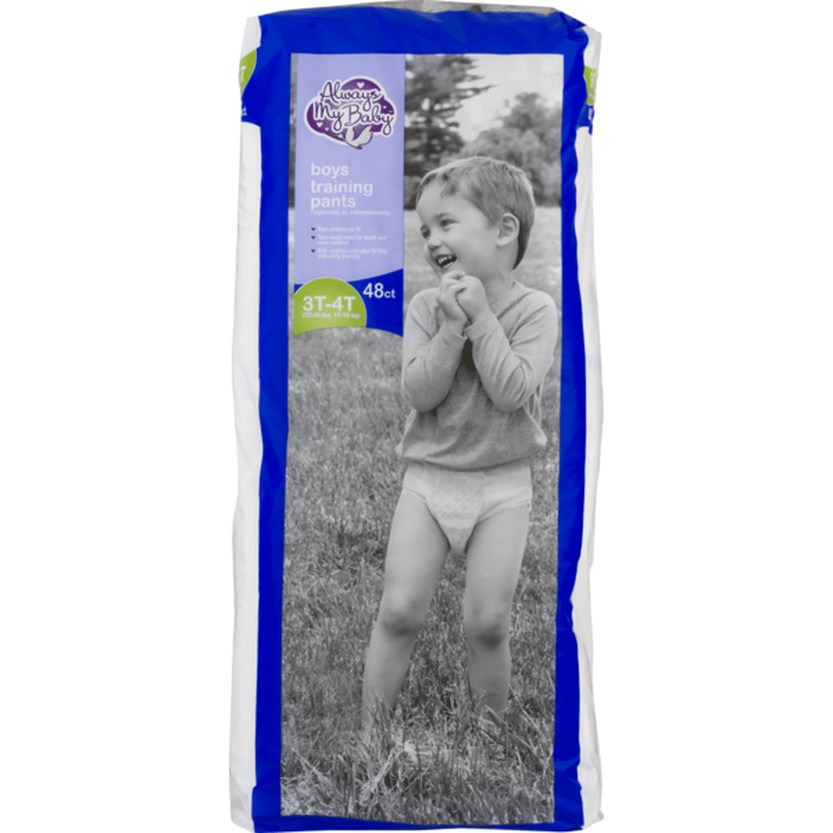 Pull-Ups Plus Boys' Potty Training Pants 3T-4T (116 ct) Delivery or Pickup  Near Me - Instacart