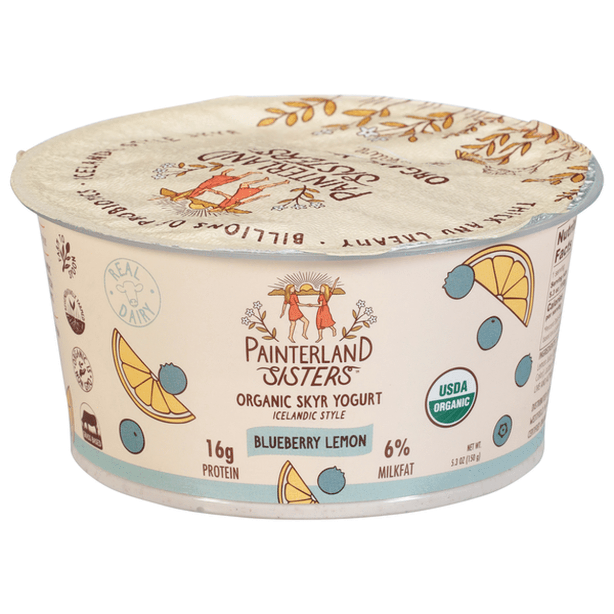 Painterland Sisters Yogurt Organic Skyr Blueberry Lemon Icelandic   Large D9f01943 40cb 407b B655 45c9f0530b7d 