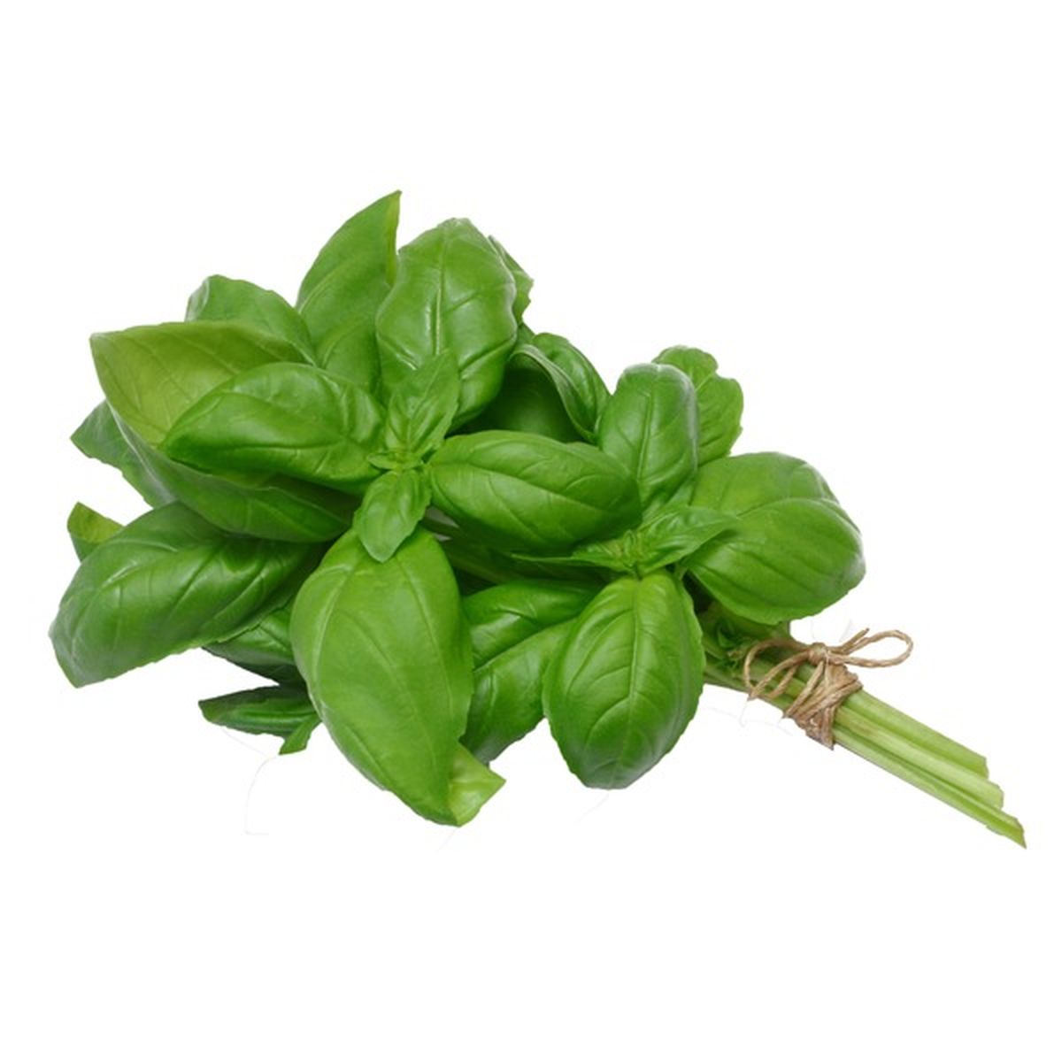 Potted Organic Thai Basil each Delivery or Pickup Near Me