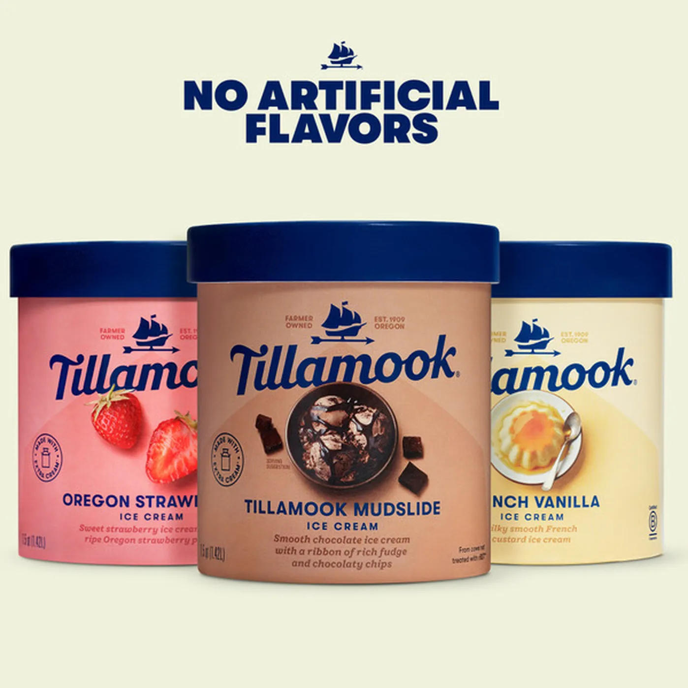 Tillamook French Vanilla Ice Cream (48 Fl Oz) Delivery Or Pickup Near ...