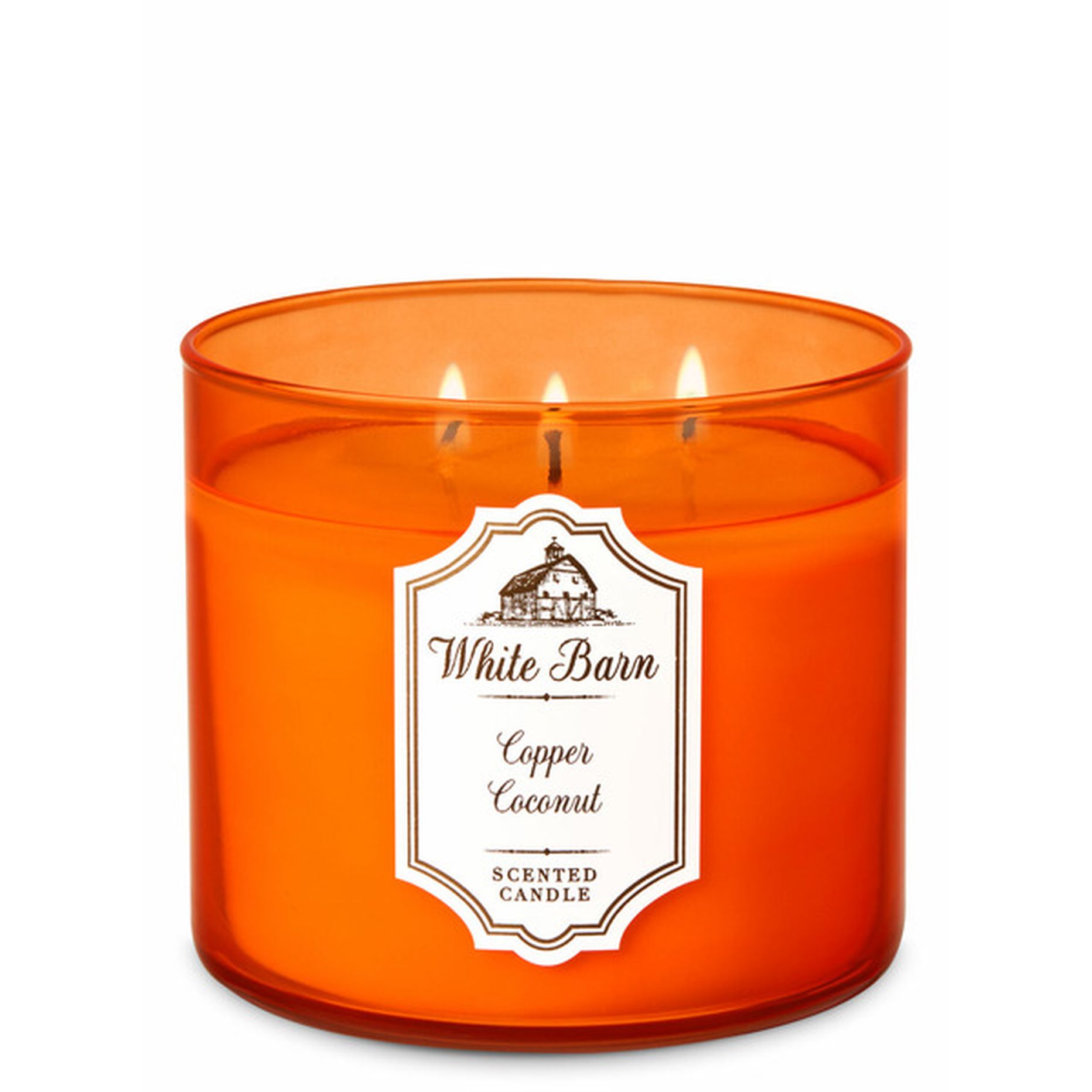 Copper Coconut 3 deals Wick Candle