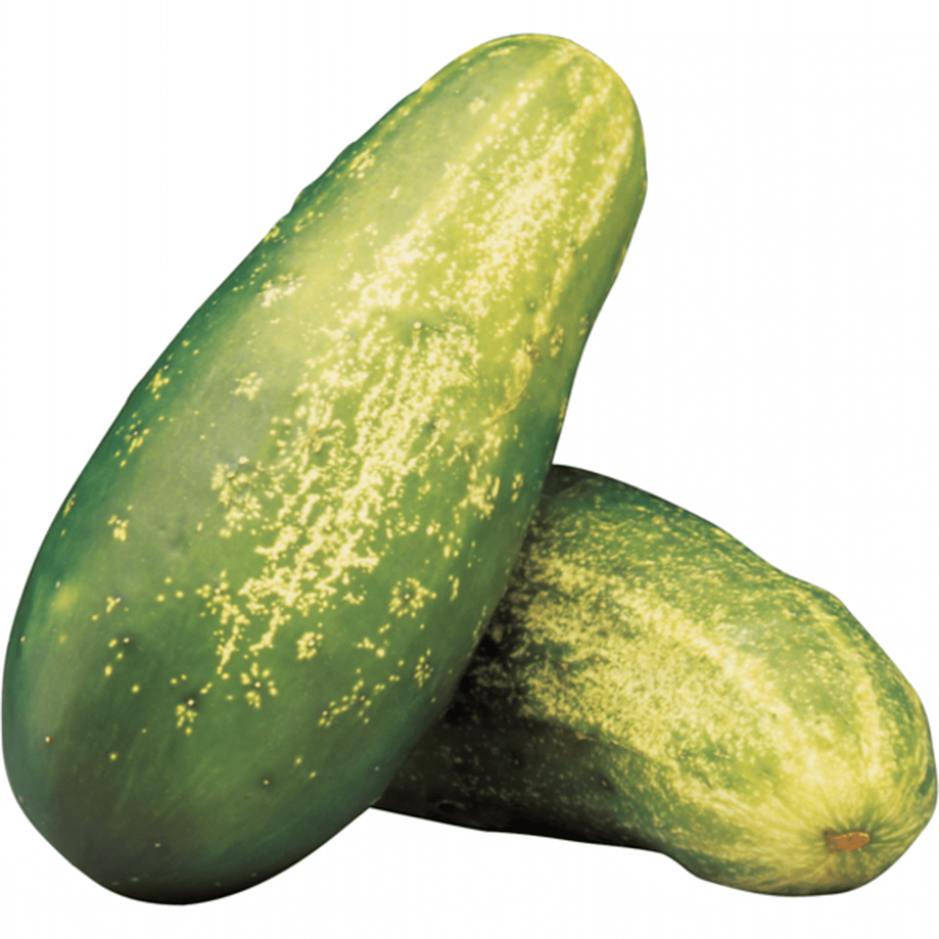 Cucumber & Dill (1 kg) Delivery or Pickup Near Me - Instacart