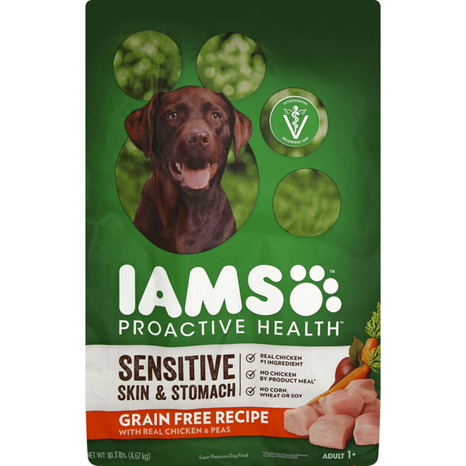 Iams dog fashion food green bag