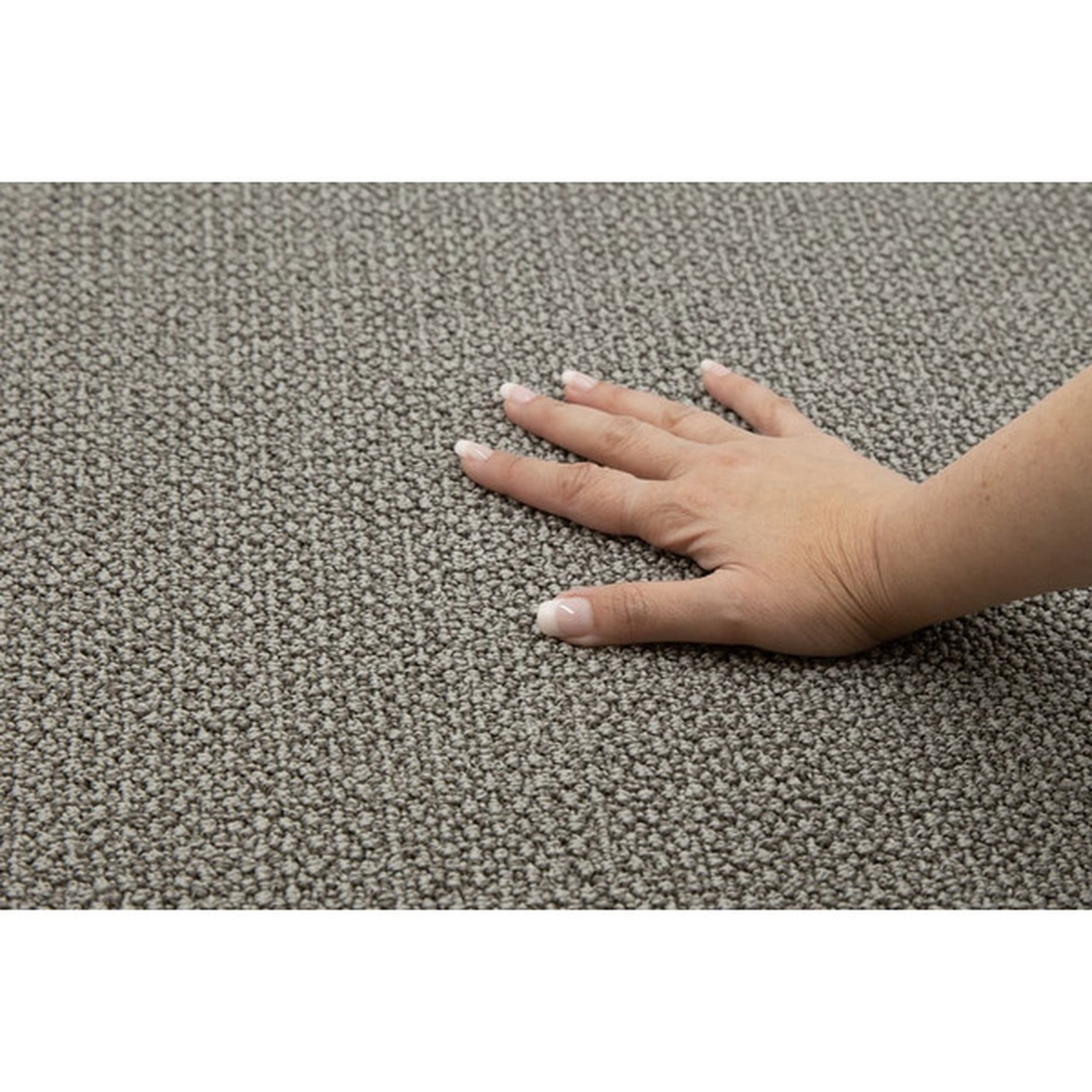 Stainmaster Union Station Multi-level Loop Indoor Carpet Sample ...