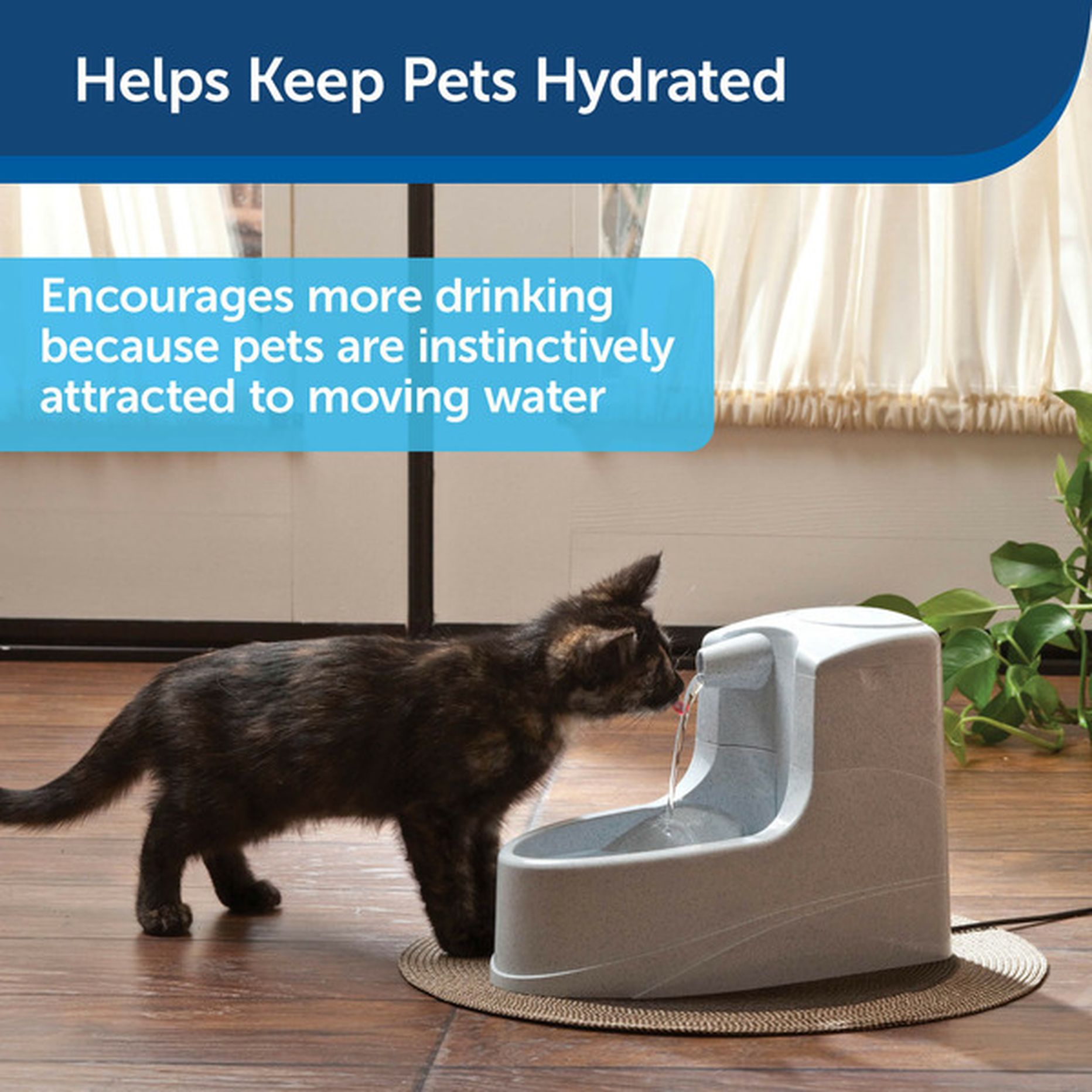 PetSafe Drinkwell Mini Pet Fountain 2.6 lb Delivery or Pickup Near Me Instacart