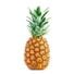 Organic Pineapple (each) Delivery or Pickup Near Me - Instacart