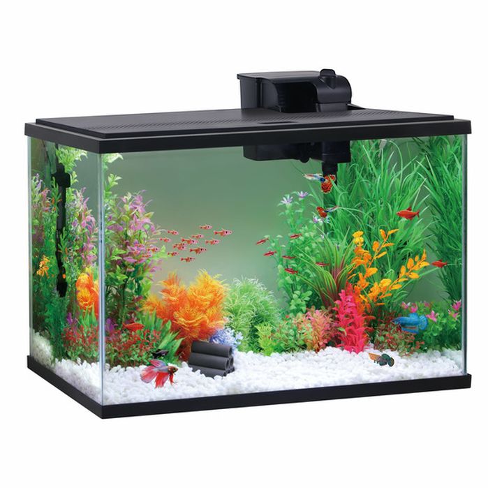 Aqua Culture Aquarium Starter Kit, 30.2 x 12.44 x 21.18 Inch - Black (1 ...