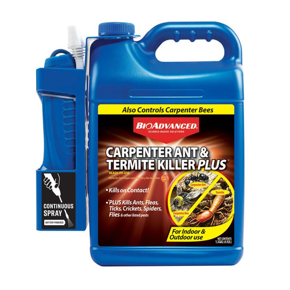 Bioadvanced Carpenter Ant And Termite Killer Plus Sprayer 1 3 Gal Delivery Or Pickup Near Me